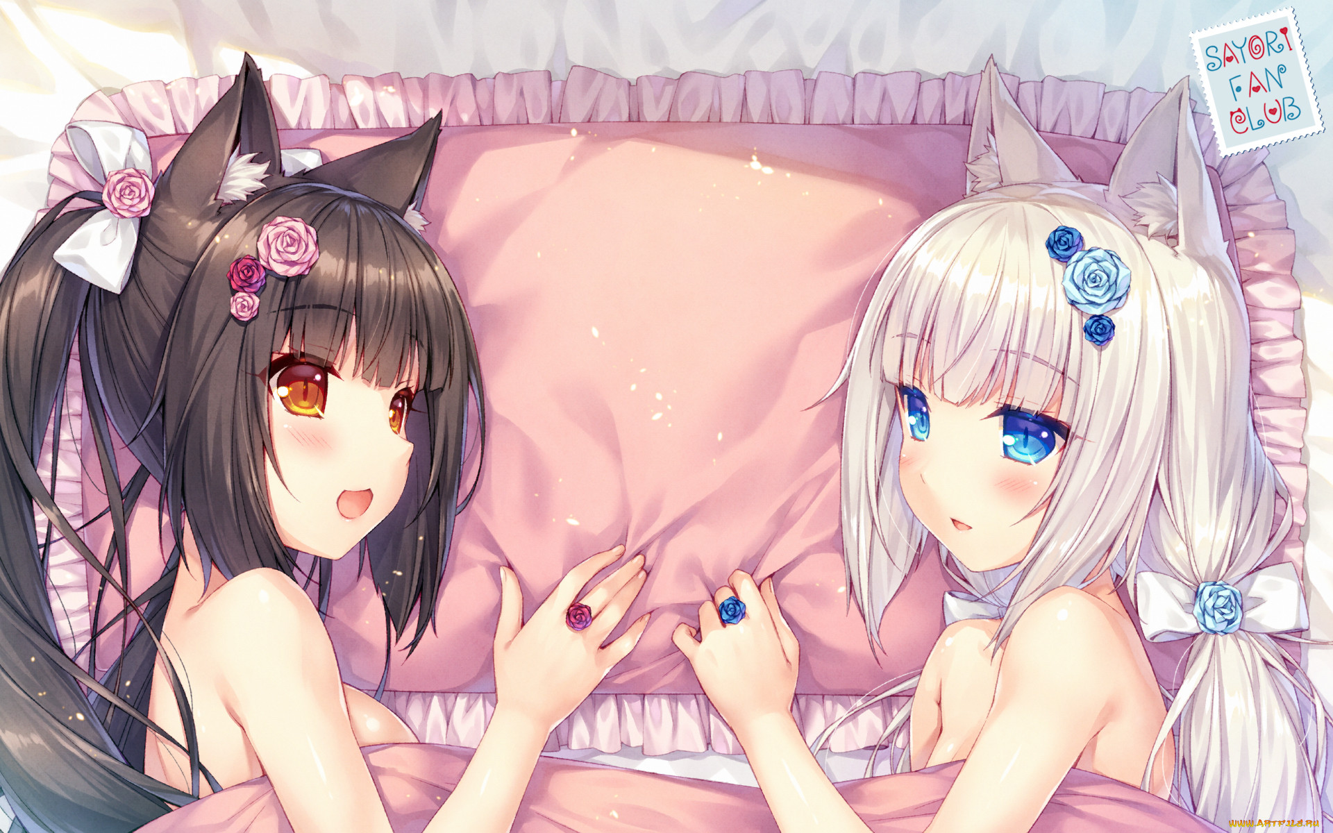 , nekopara, , , 